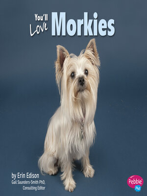 cover image of You'll Love Morkies